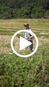 BIB:  <button type="button" onclick="openModal(26787267)" class="btn btn-primary btn-sm float-right" data-toggle="modal" data-target=".modal-high-quality">
                <i class="fa fa-download"></i> Download
                </button>